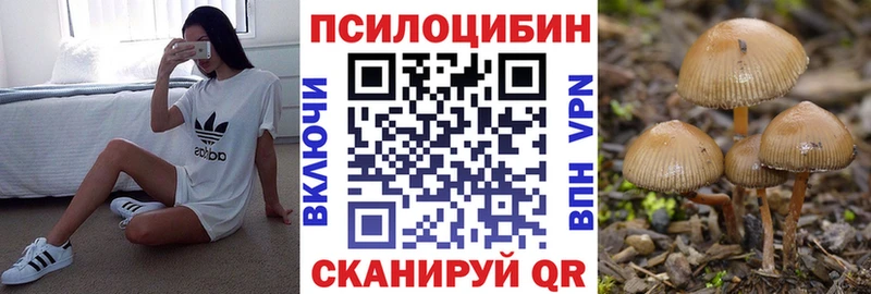 Купить закладки  Уссурийск  Псилоцибиновые грибы Cubensis 